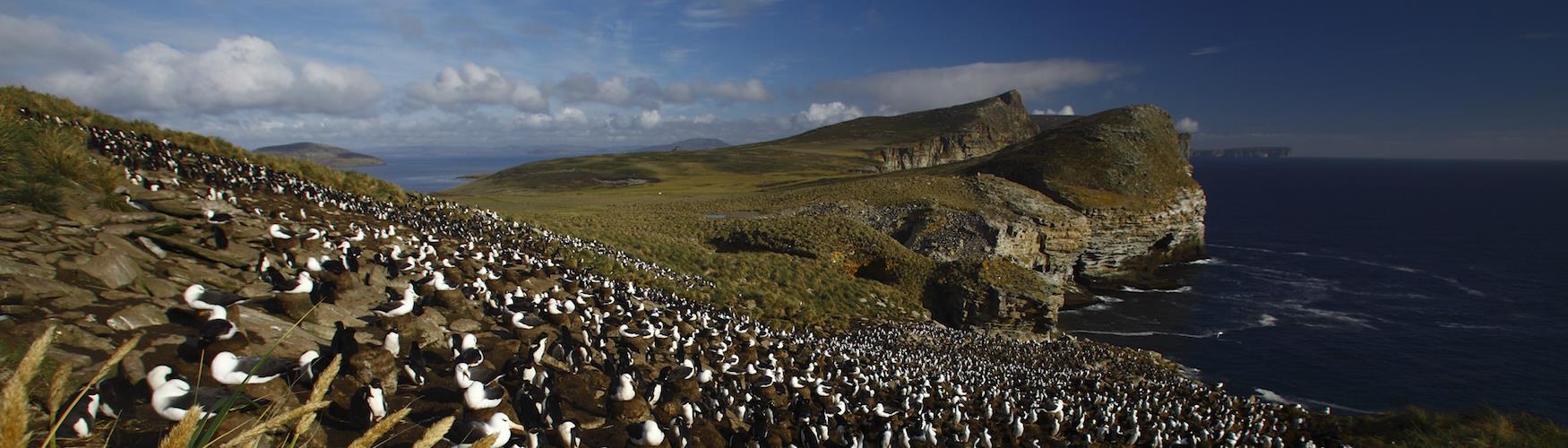 to the Falkland Islands Falkland Islands