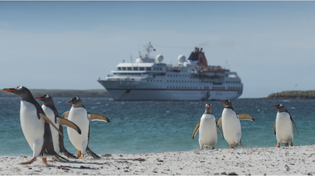 Falkland Islands Cruises